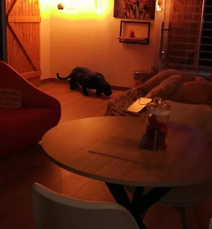 Deco Pop Et Chaleureuse Avec Jacuzzi, Sauna, Piece Coquine Σπίτι διακοπών Καλέ